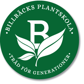 Billbäcks logo