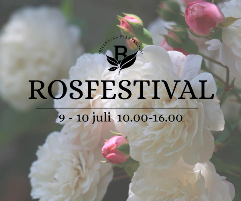 Rosfestival FB